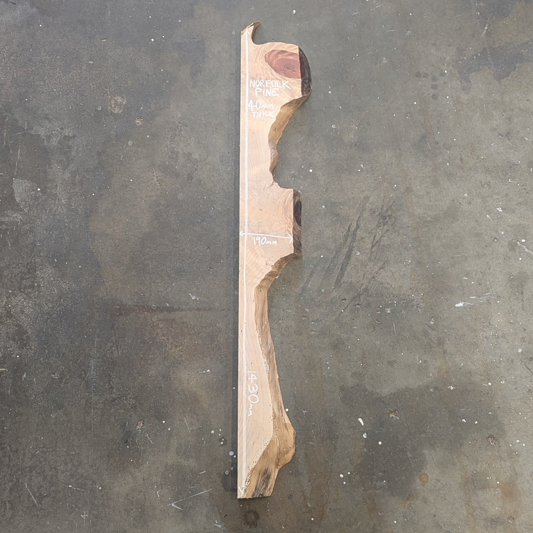 Norfolk Pine Timber Slab