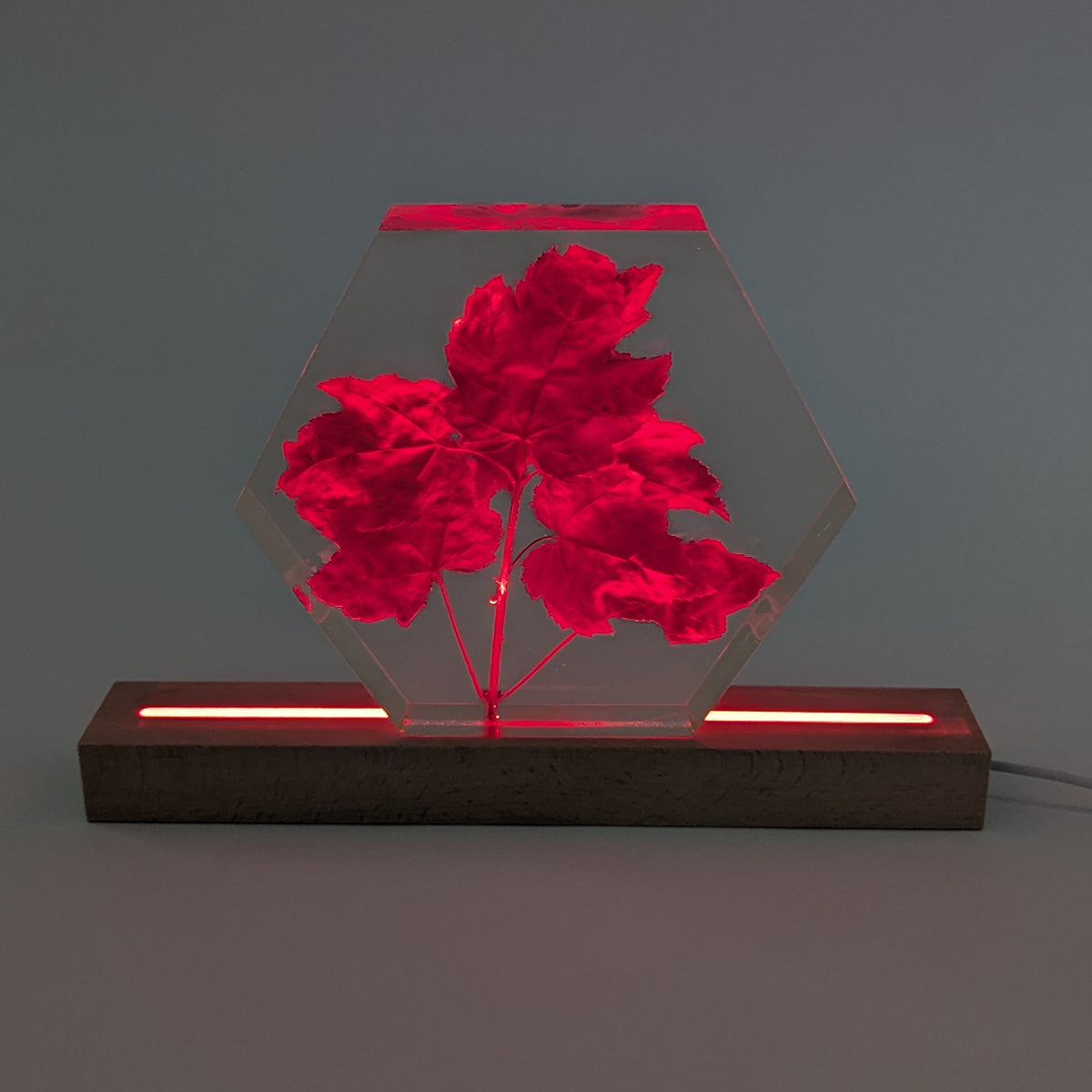 LED lamp Base, Multicolour, 30cm Long