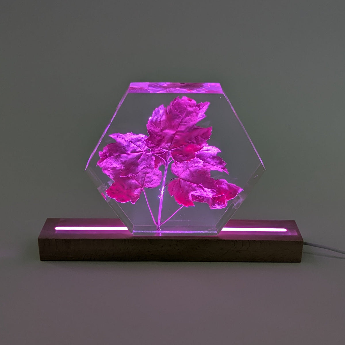 LED lamp Base, Multicolour, 30cm Long