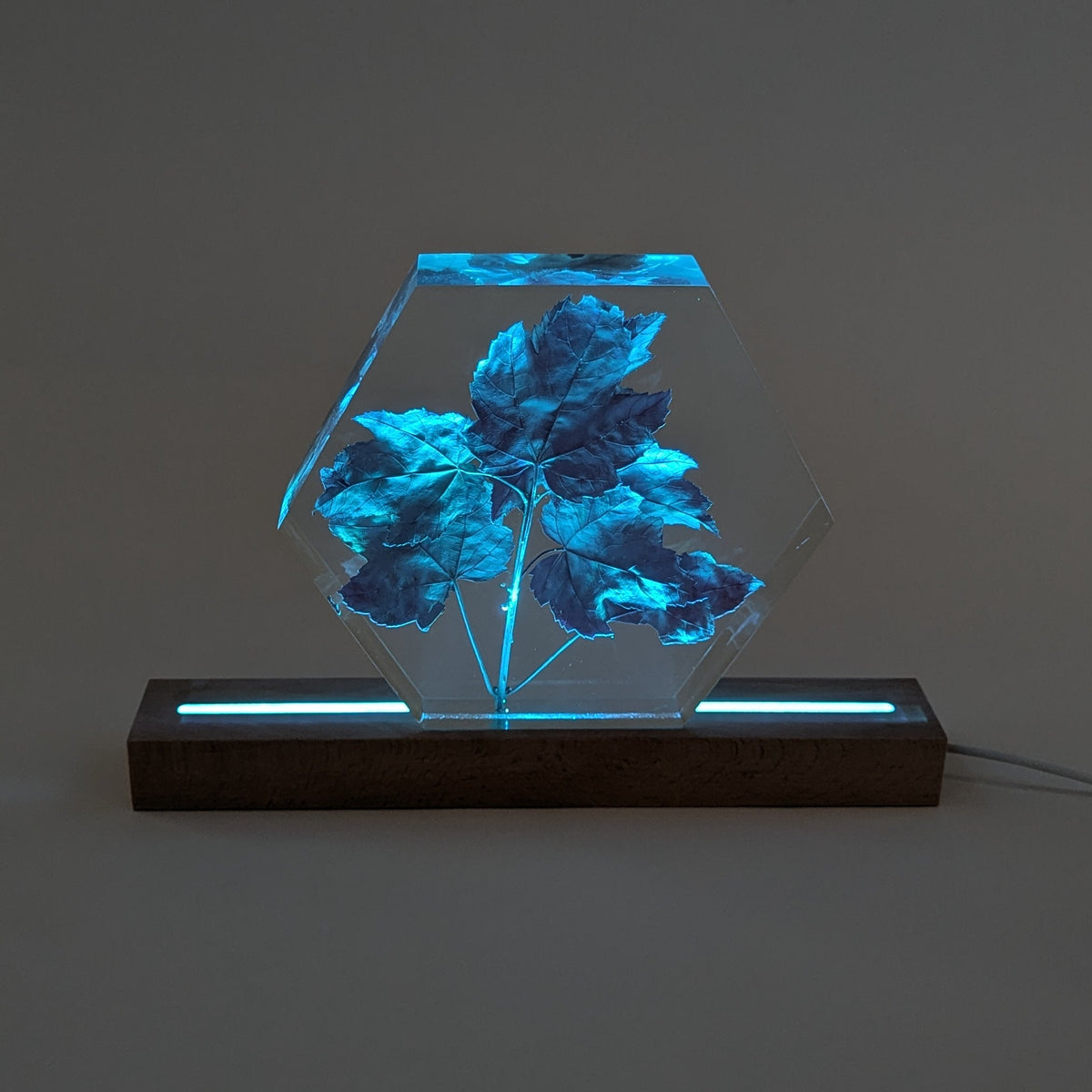 LED lamp Base, Multicolour, 30cm Long