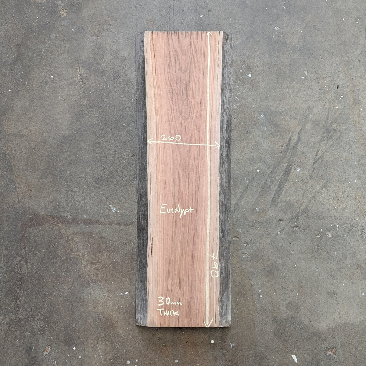 Eucalypt Timber Slab