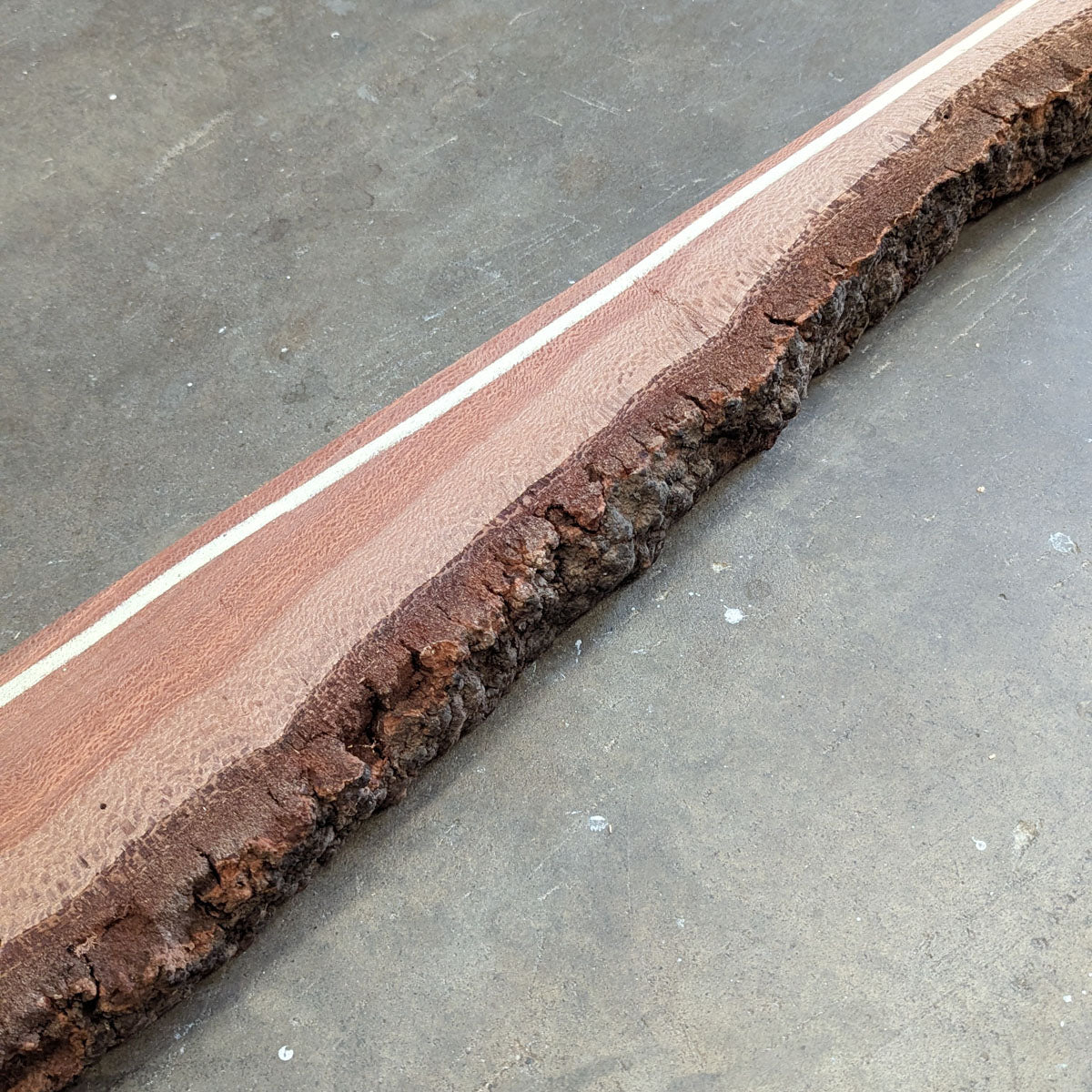 Banksia Timber Slab