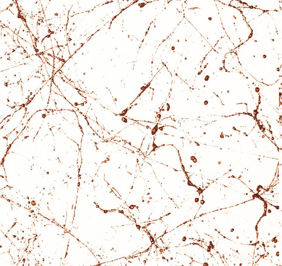 Montana Marble Effect Spray Paint
