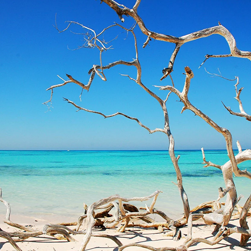 Driftwood & Salt Candle Fragrance 100ml