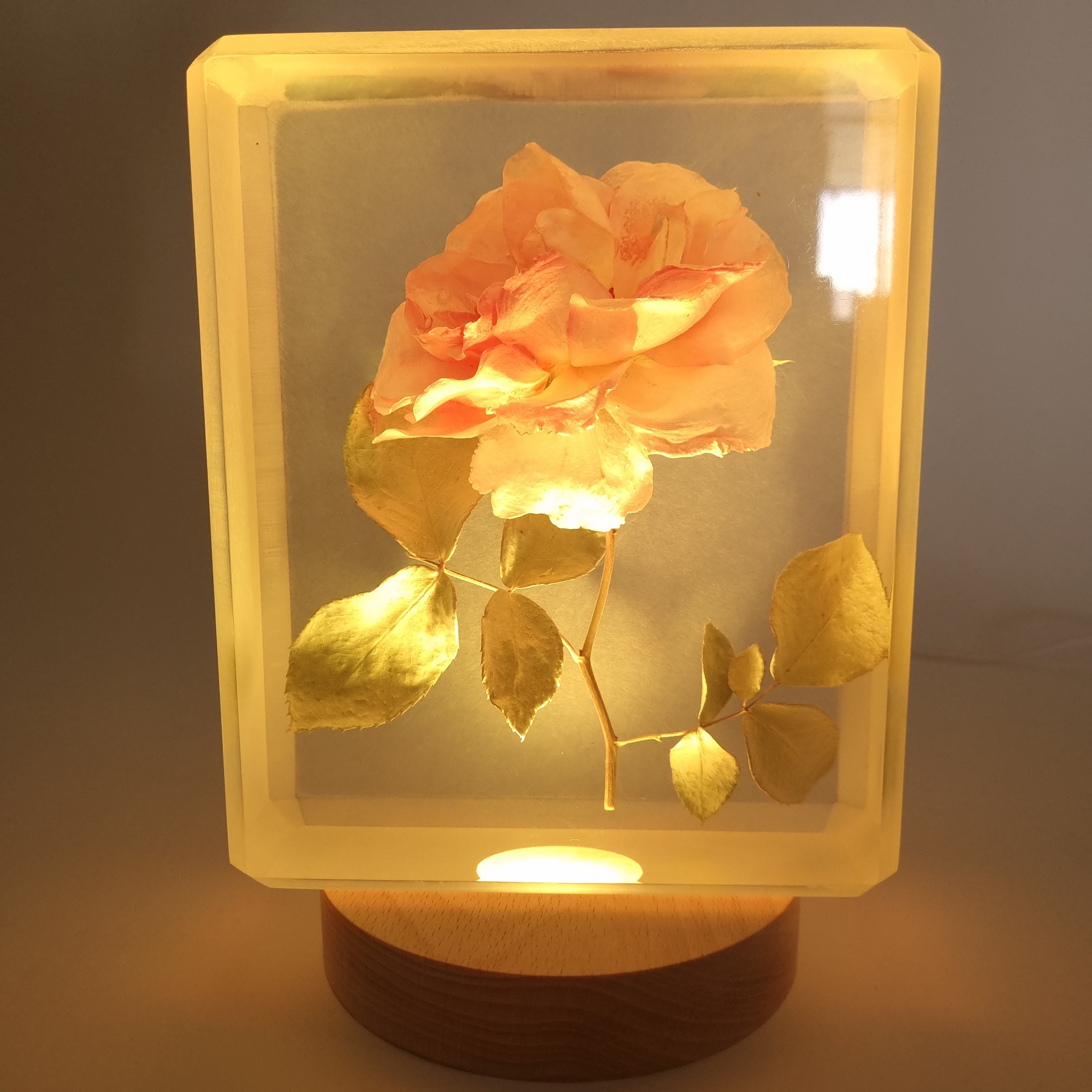 Round Multicolour LED lamp Base