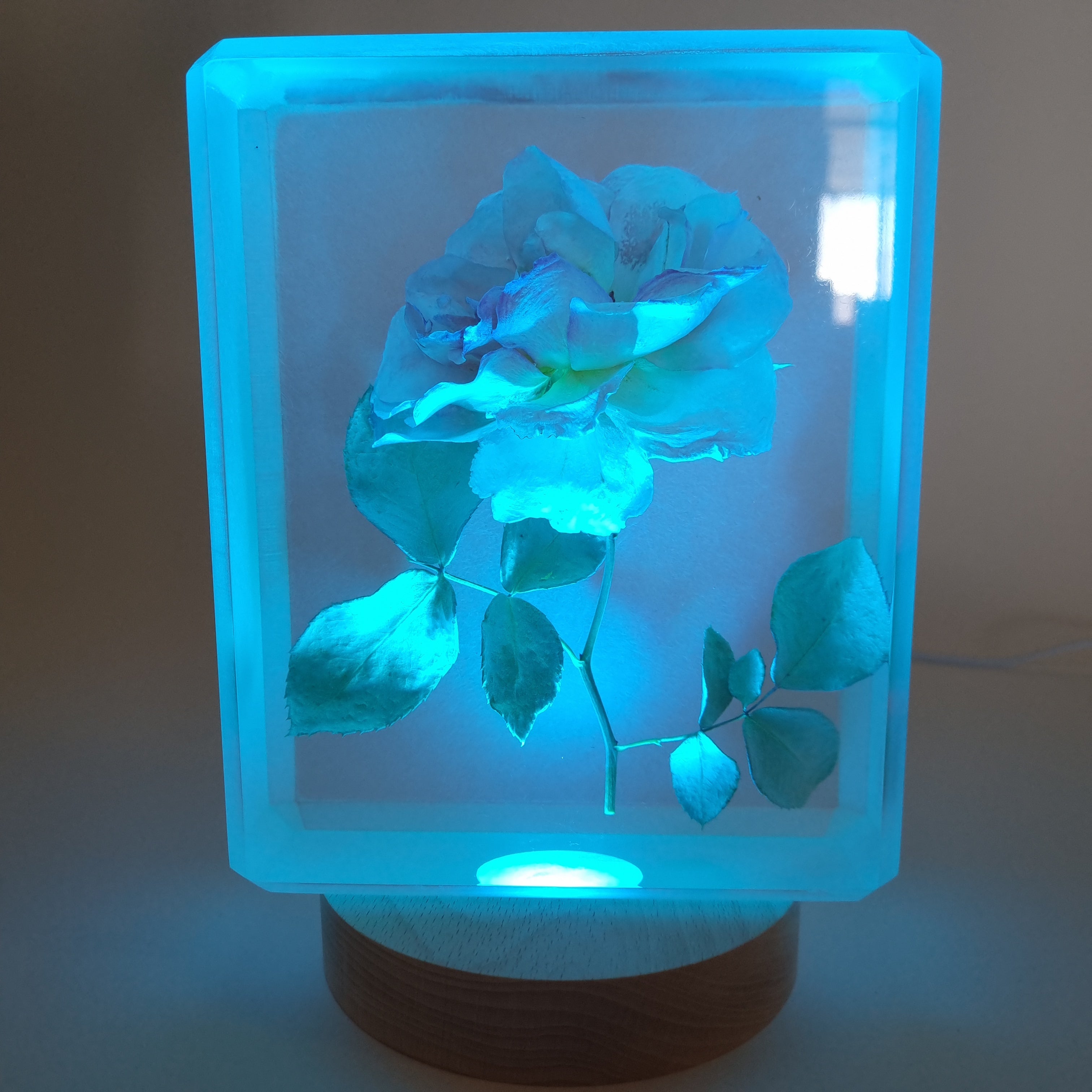 Round Multicolour LED lamp Base