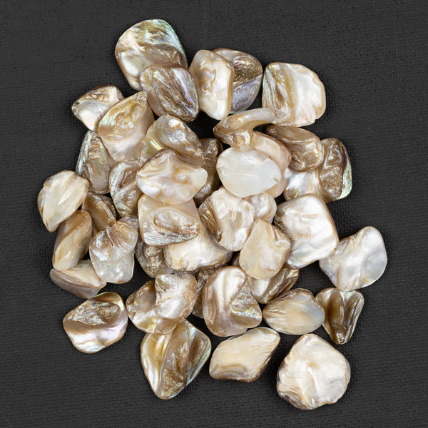 Pearl Shell Pieces 100g bag