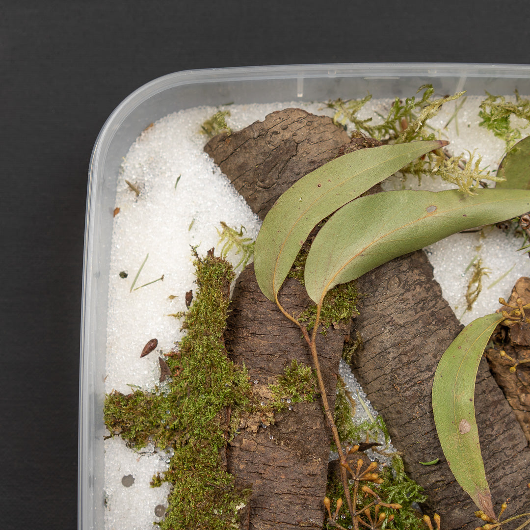 Flower Drying Crystals