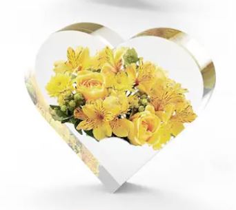 Heart Large Embedding Silicone Mould