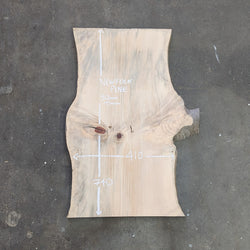 Newfolk Pine Timber Slab