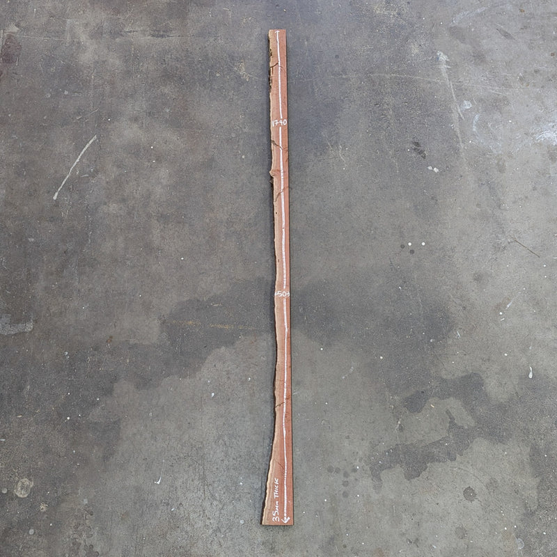 Redgum Live Edge Timber Slab