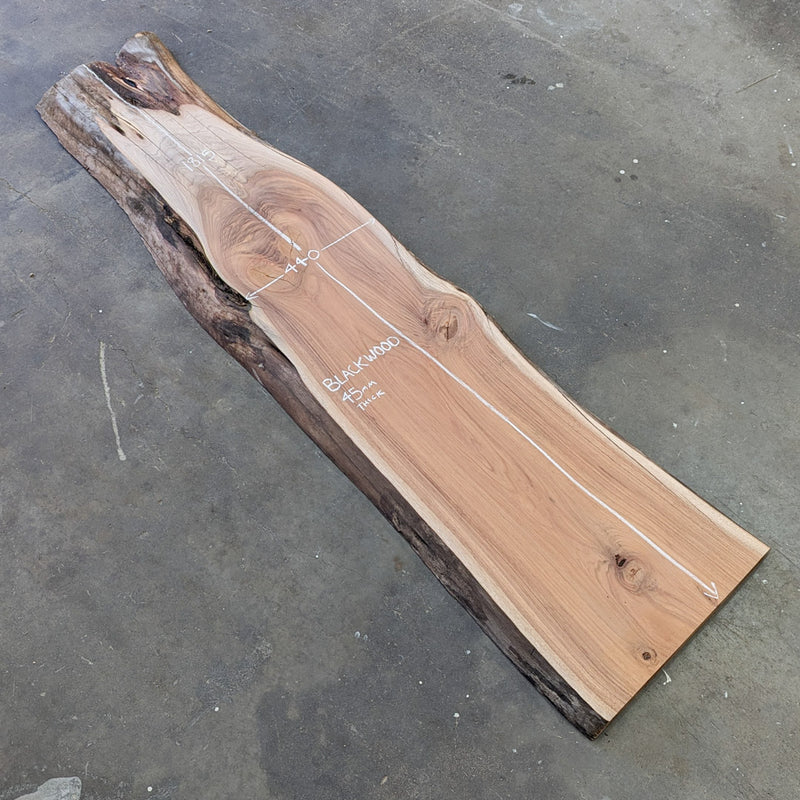 Blackwood Timber Slab