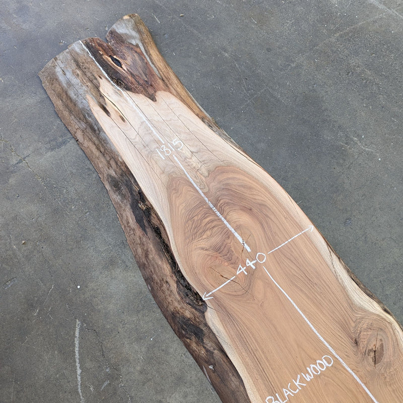 Blackwood Timber Slab