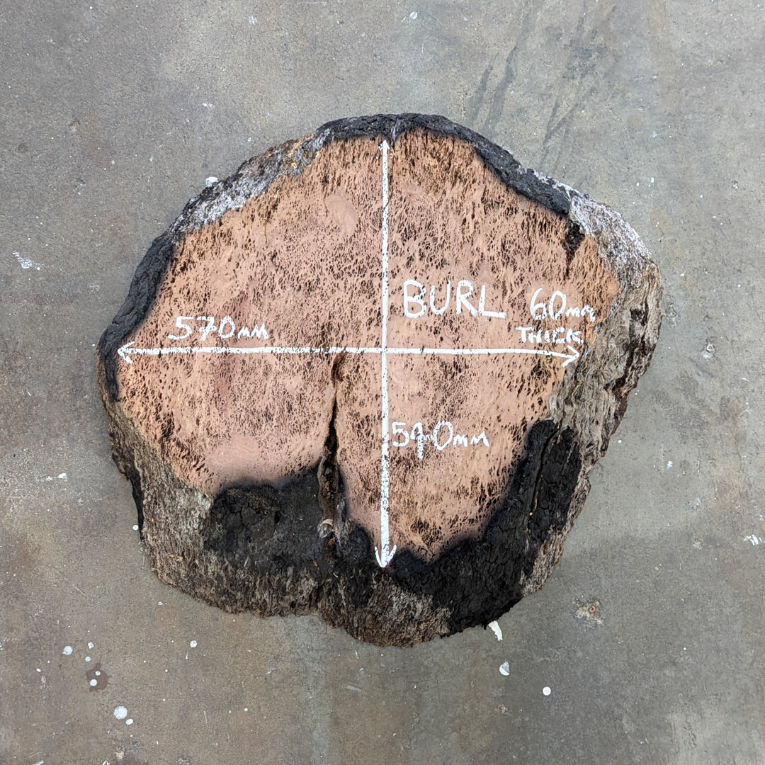 Burl Timber Slab