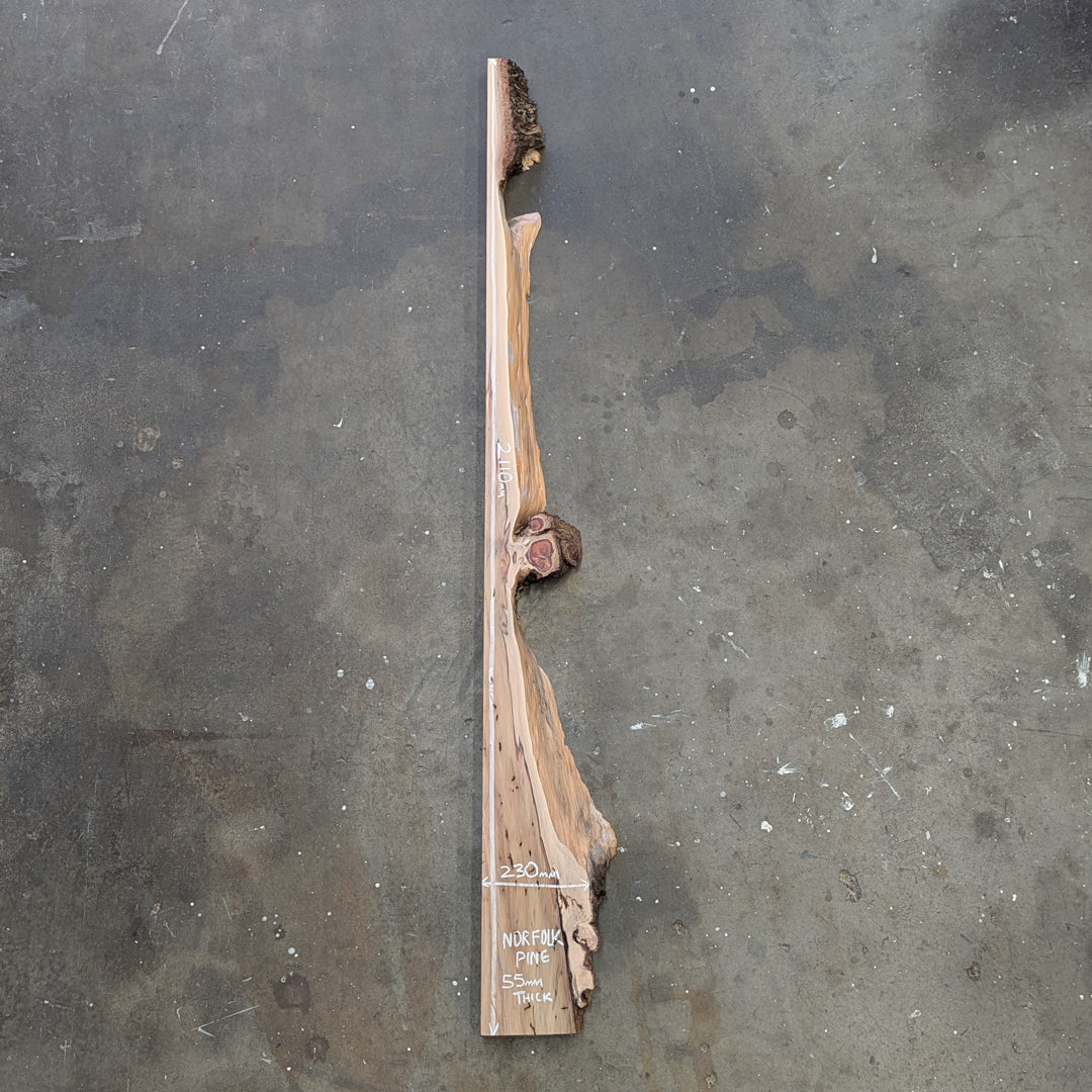 Norfolk Pine Timber Slab