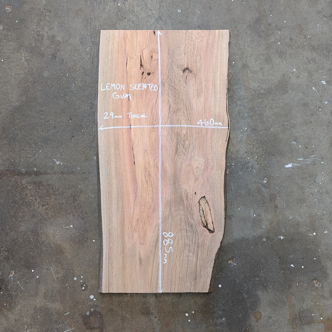 Lemon Scented Gum Timber Slab