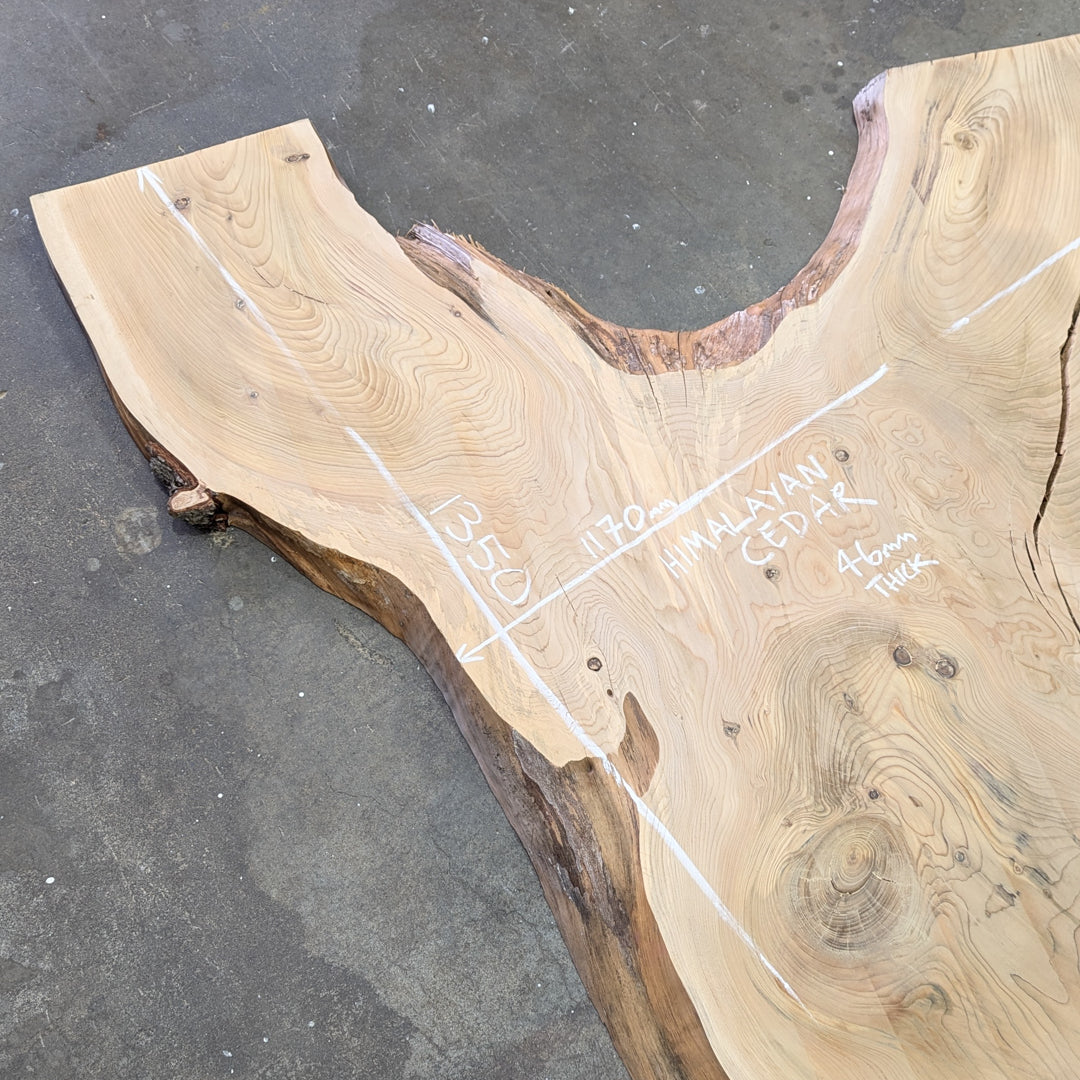 Himalayan Timber Slab