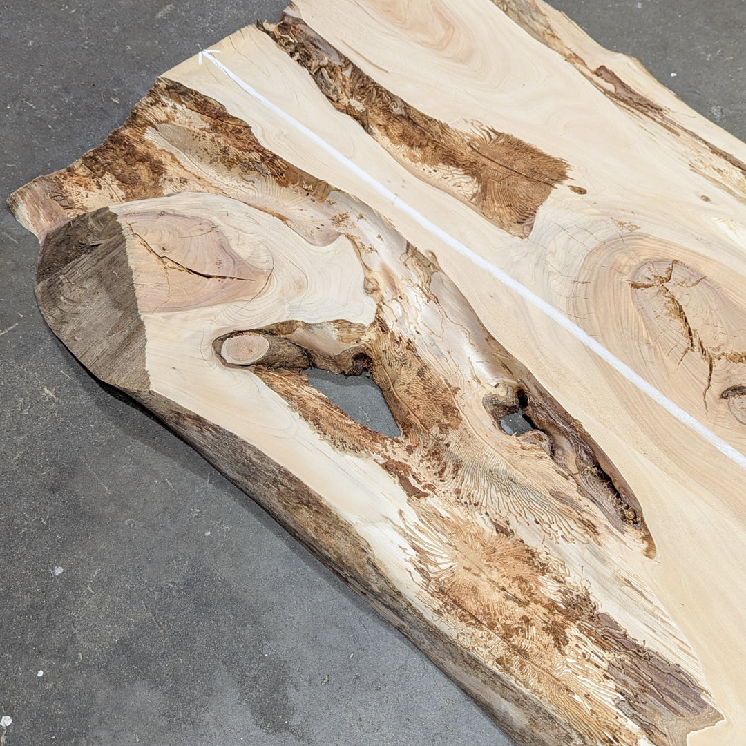 Cypress Timber Slab