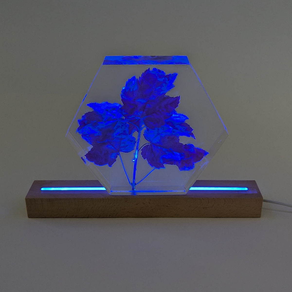 LED lamp Base, Multicolour, 30cm Long