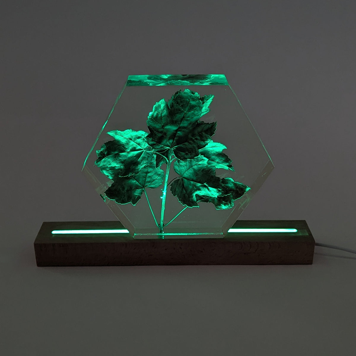 LED lamp Base, Multicolour, 30cm Long