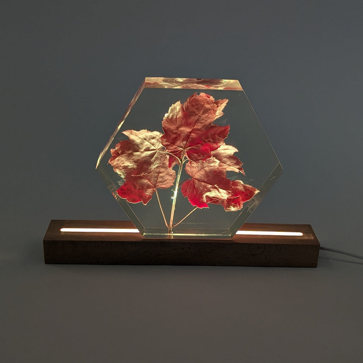 LED lamp Base, Multicolour, 30cm Long