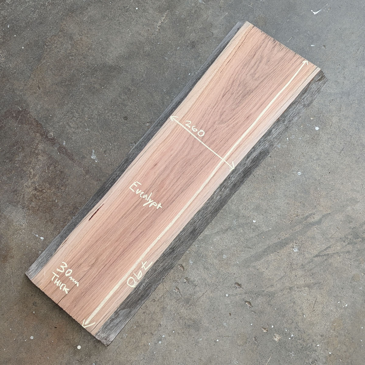 Eucalypt Timber Slab