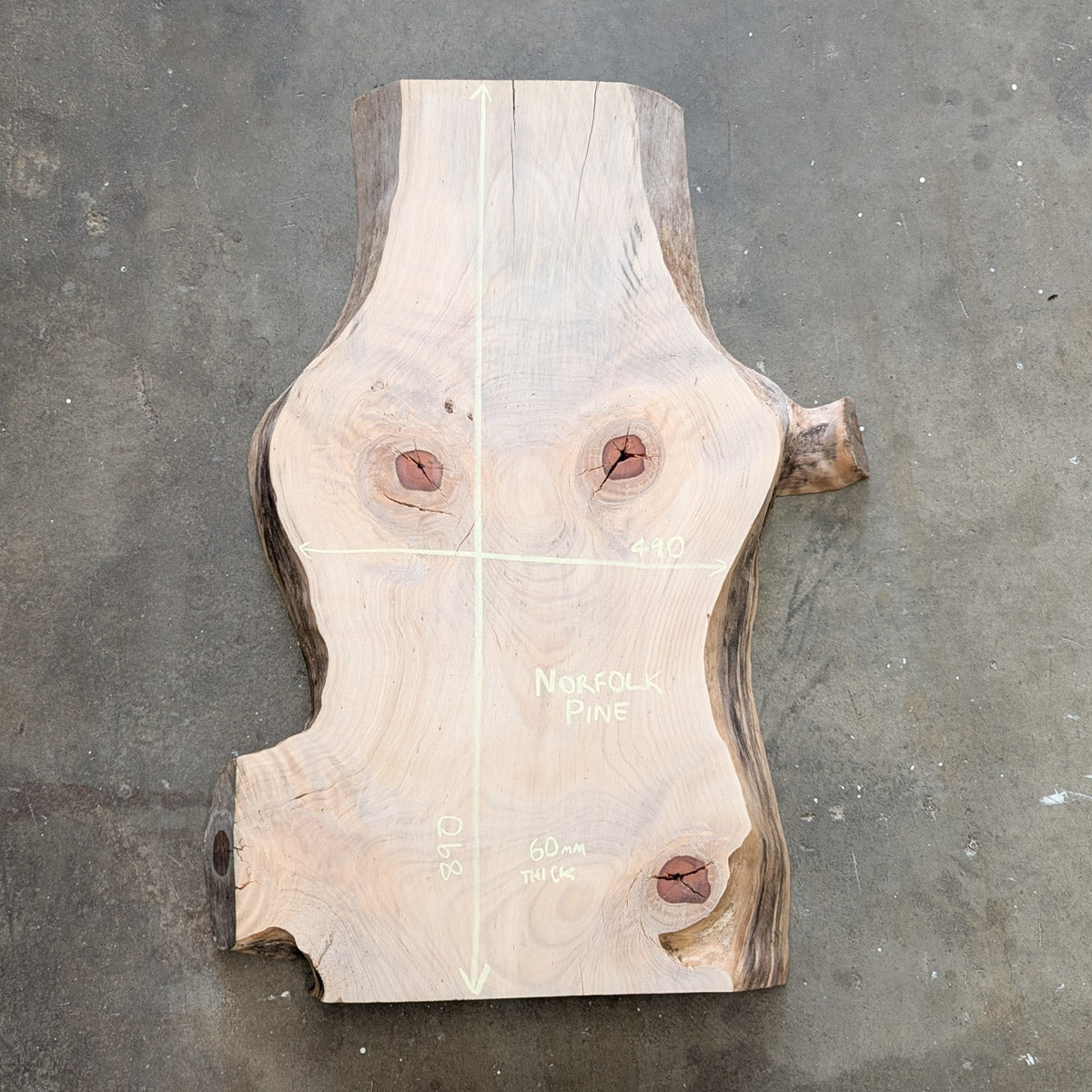 Norfolk Pine Timber Slab