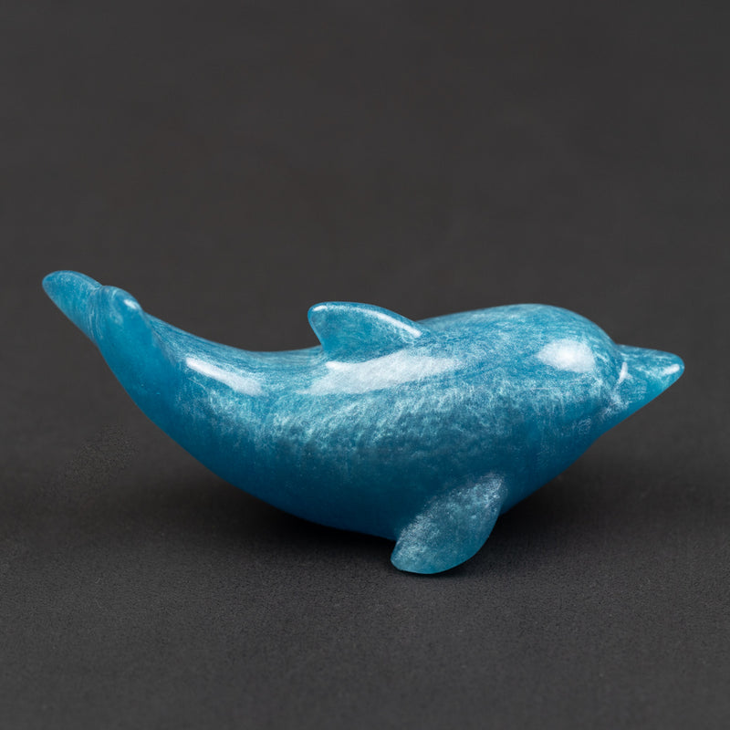 Dolphin silicone mould