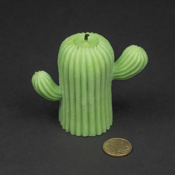 Cactus Silicone Moulds