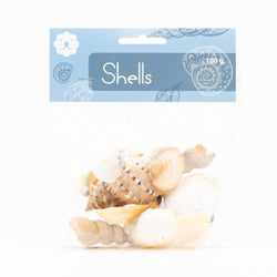 Sea Shells 100g Assorted