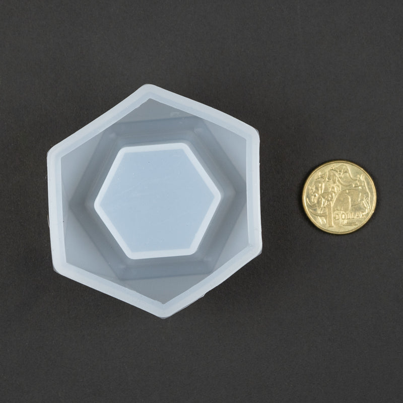 succulent pot mould
