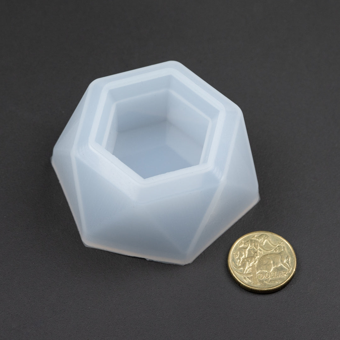 succulent pot mould