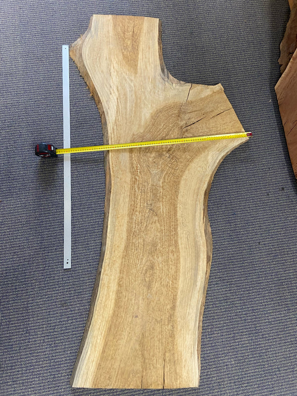 Timber Slab, Pin Oak